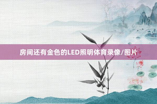 房间还有金色的LED照明体育录像/图片