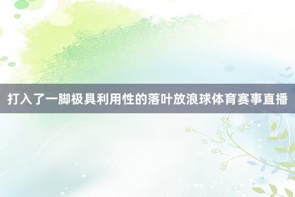 打入了一脚极具利用性的落叶放浪球体育赛事直播