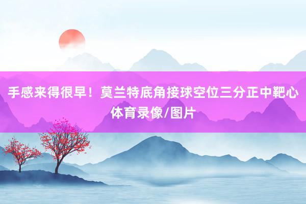 手感来得很早！莫兰特底角接球空位三分正中靶心体育录像/图片