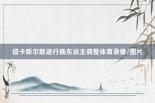 纽卡斯尔联进行换东谈主调整体育录像/图片