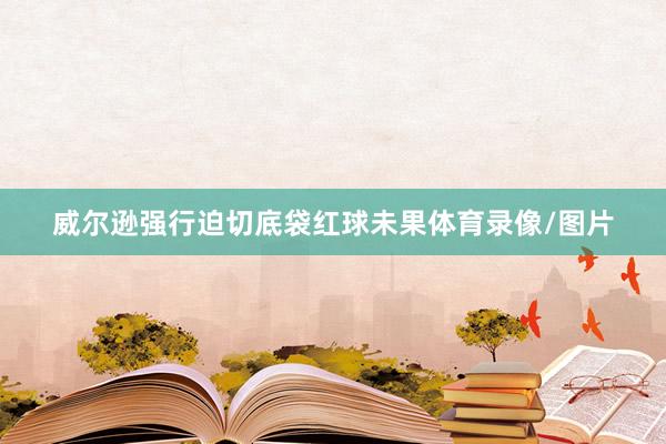 威尔逊强行迫切底袋红球未果体育录像/图片