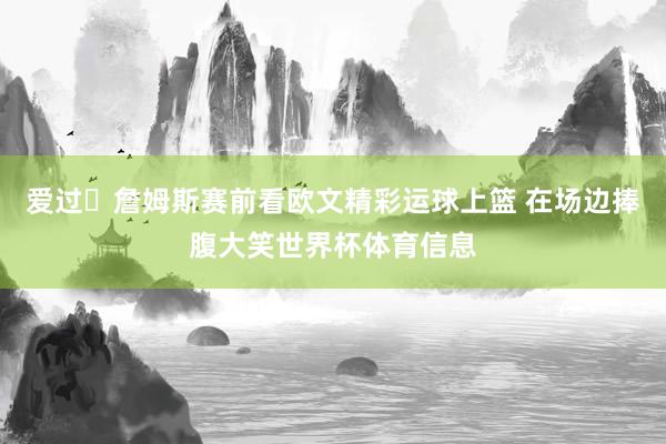 爱过❤詹姆斯赛前看欧文精彩运球上篮 在场边捧腹大笑世界杯体育信息