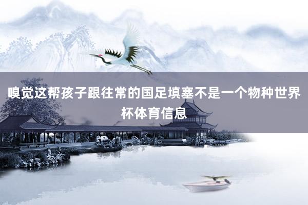 嗅觉这帮孩子跟往常的国足填塞不是一个物种世界杯体育信息