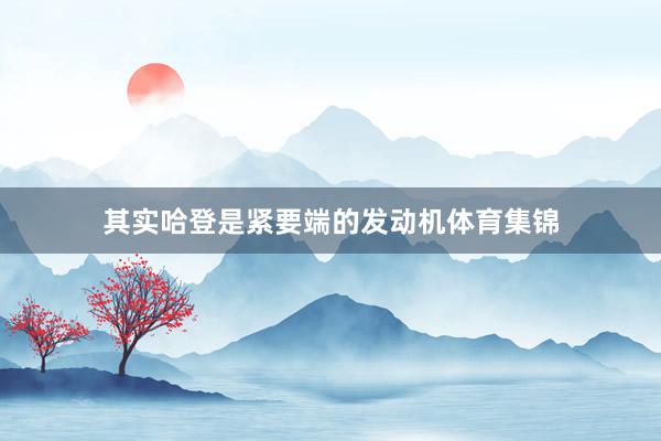 其实哈登是紧要端的发动机体育集锦