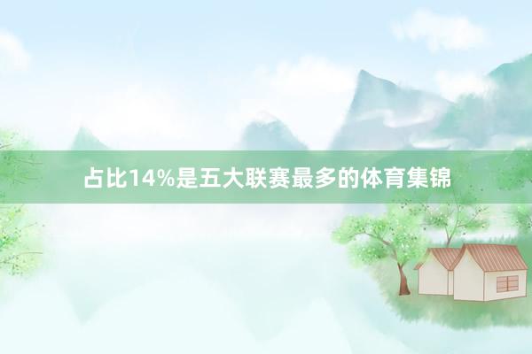占比14%是五大联赛最多的体育集锦