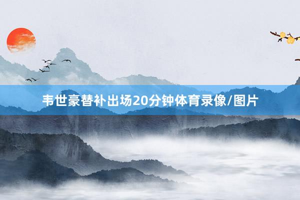 韦世豪替补出场20分钟体育录像/图片