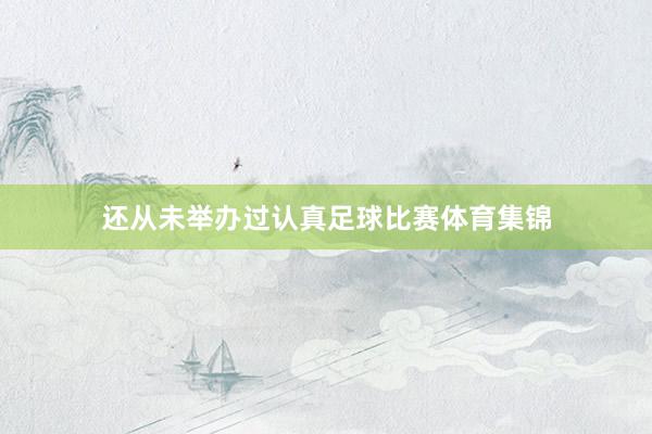 还从未举办过认真足球比赛体育集锦