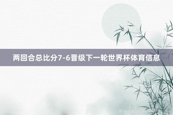 两回合总比分7-6晋级下一轮世界杯体育信息