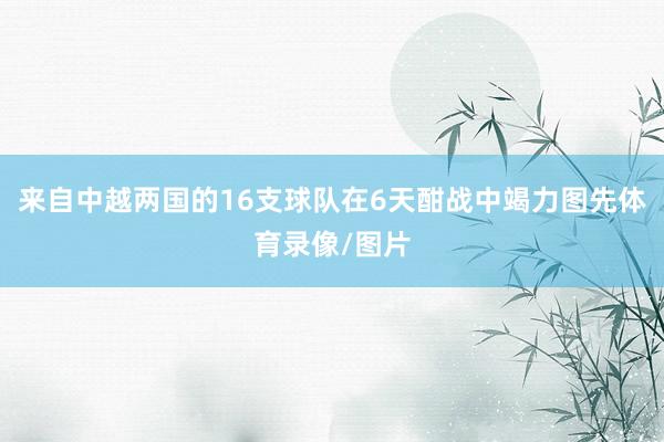 来自中越两国的16支球队在6天酣战中竭力图先体育录像/图片