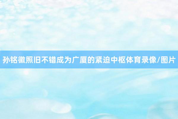 孙铭徽照旧不错成为广厦的紧迫中枢体育录像/图片