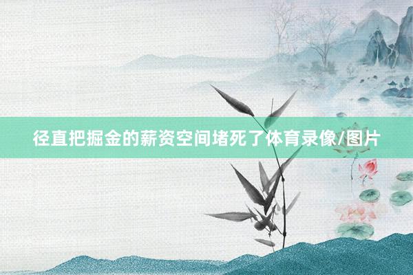 径直把掘金的薪资空间堵死了体育录像/图片