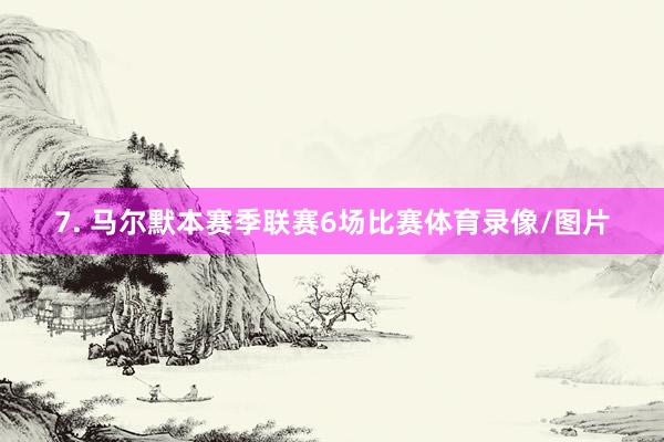 7. 马尔默本赛季联赛6场比赛体育录像/图片