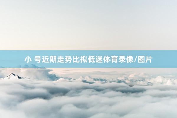 小 号近期走势比拟低迷体育录像/图片