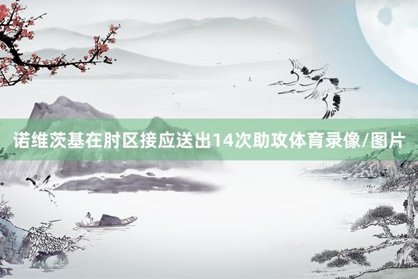 诺维茨基在肘区接应送出14次助攻体育录像/图片