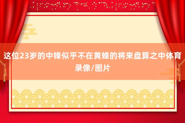 这位23岁的中锋似乎不在黄蜂的将来盘算之中体育录像/图片