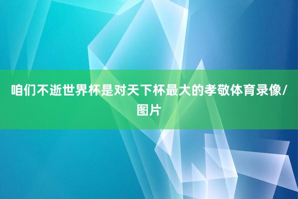 咱们不逝世界杯是对天下杯最大的孝敬体育录像/图片