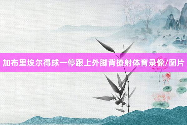 加布里埃尔得球一停跟上外脚背撩射体育录像/图片