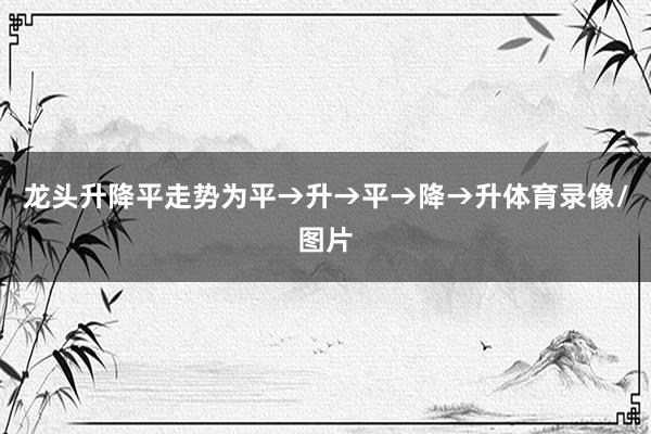 龙头升降平走势为平→升→平→降→升体育录像/图片