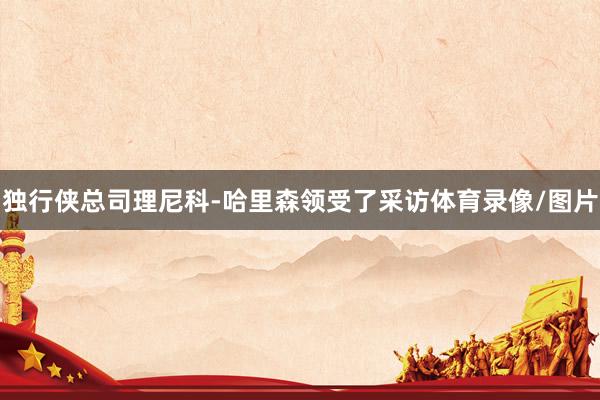 独行侠总司理尼科-哈里森领受了采访体育录像/图片