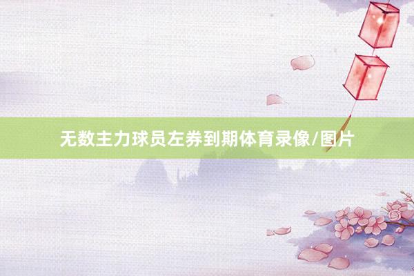 无数主力球员左券到期体育录像/图片