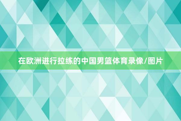 在欧洲进行拉练的中国男篮体育录像/图片