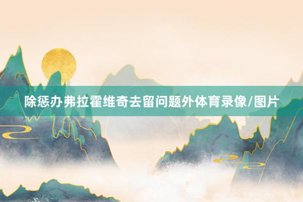 除惩办弗拉霍维奇去留问题外体育录像/图片