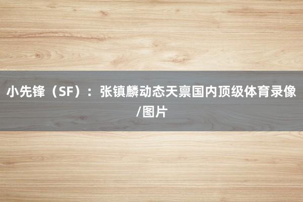 小先锋（SF）：张镇麟动态天禀国内顶级体育录像/图片