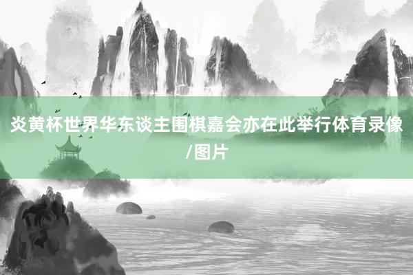 炎黄杯世界华东谈主围棋嘉会亦在此举行体育录像/图片