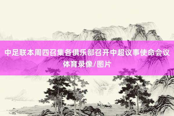中足联本周四召集各俱乐部召开中超议事使命会议体育录像/图片