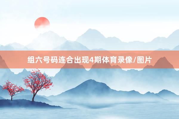 组六号码连合出现4期体育录像/图片