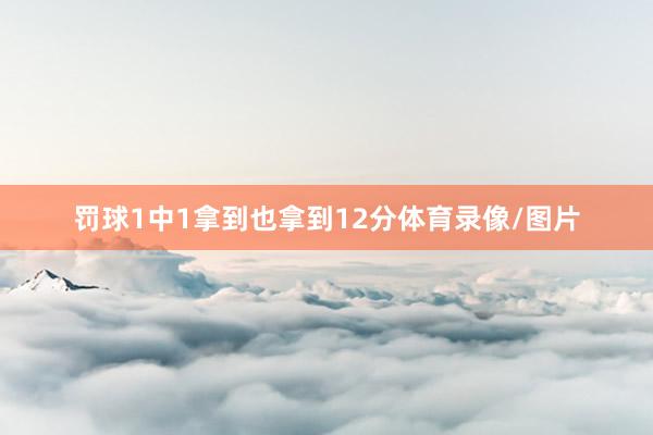 罚球1中1拿到也拿到12分体育录像/图片