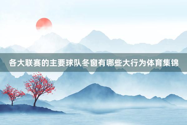 各大联赛的主要球队冬窗有哪些大行为体育集锦
