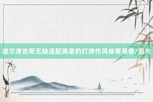 波尔津吉斯无缺适配英豪的打球作风体育录像/图片