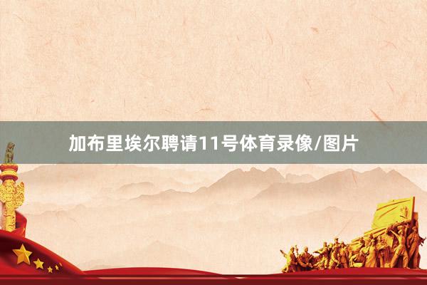 加布里埃尔聘请11号体育录像/图片
