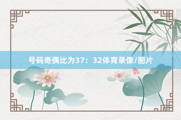 号码奇偶比为37：32体育录像/图片