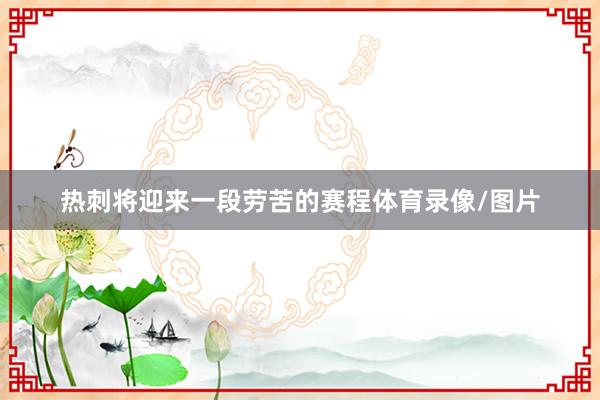 热刺将迎来一段劳苦的赛程体育录像/图片