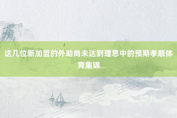 这几位新加盟的外助尚未达到理思中的预期孝顺体育集锦