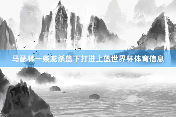 马瑟林一条龙杀篮下打进上篮世界杯体育信息