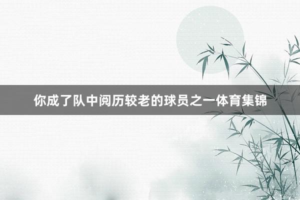 你成了队中阅历较老的球员之一体育集锦
