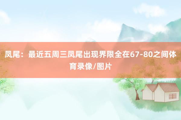 凤尾:最近五周三凤尾出现界限全在67-80之间体育录像/图片
